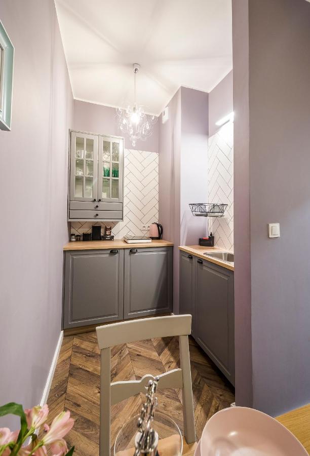 Apartment Z Ogrodkiem I Garazem